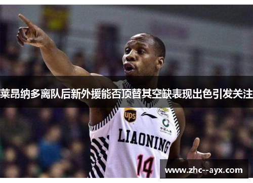 莱昂纳多离队后新外援能否顶替其空缺表现出色引发关注