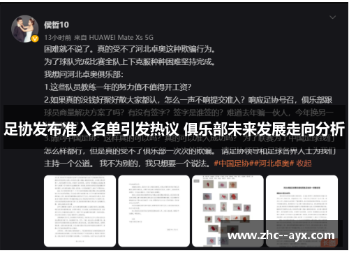 足协发布准入名单引发热议 俱乐部未来发展走向分析