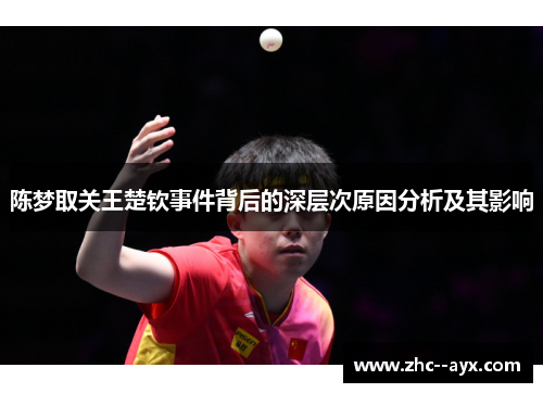 陈梦取关王楚钦事件背后的深层次原因分析及其影响