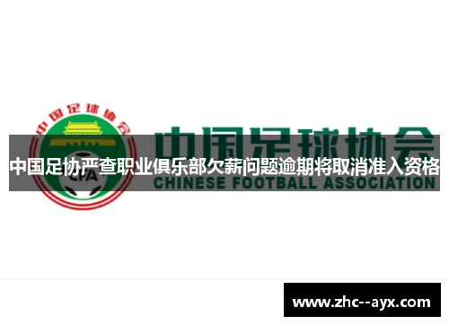 中国足协严查职业俱乐部欠薪问题逾期将取消准入资格 中国足协严查职业俱乐部欠薪问题逾期将取消准入资格